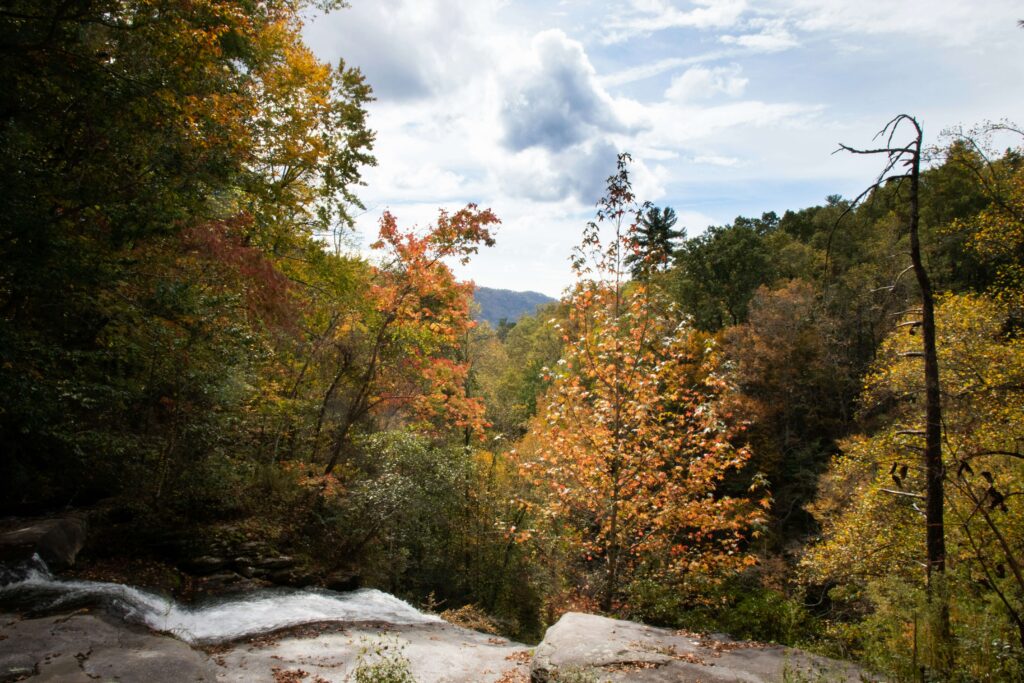 About Asheville Pros contractor directory